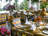 �l���s�A�C�O�z�e���A�I�����C���\��A�r�[�`���]�[�g�A�r���^���A�Ƒ����s�A�ċx��