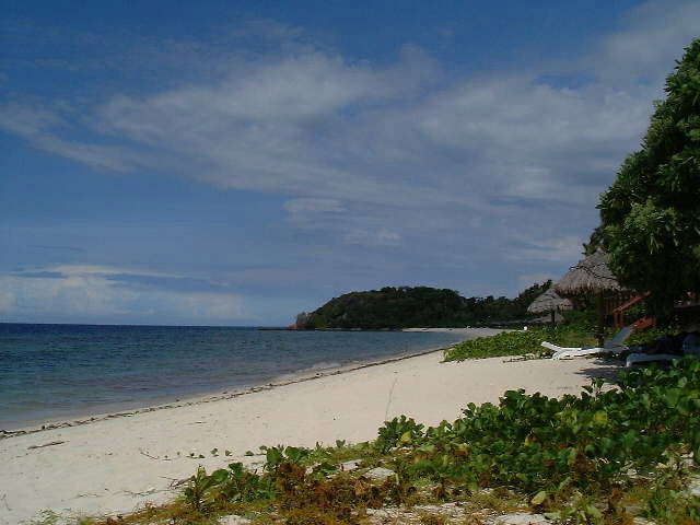 �}�i���A�Ƒ����s�A�t�B�W�[�A�A�E�g���K�[�A�}�i���A�z�e���A�C�O�z�e���A�l���s�A�I�����C���\��A�쑾���m�A�r�[�`���]�[�g