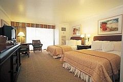 �Ƒ����s�A�n���C�A�}�E�C�A�V�F���g���A�J�A�i�p���A�E�F�X�e�B���A�X�^�[�E�b�h�A�l���s�A�C�O�z�e���A�v�[���A�}�E�C�E�G�X�g��`�A�J�p���A��`,ROOM