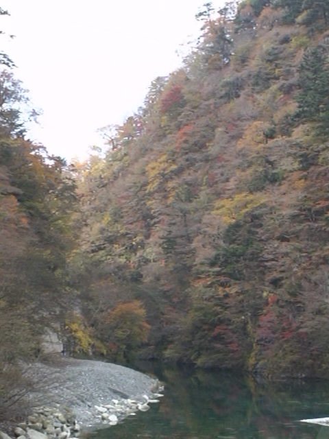 丹沢:ユーシン渓谷