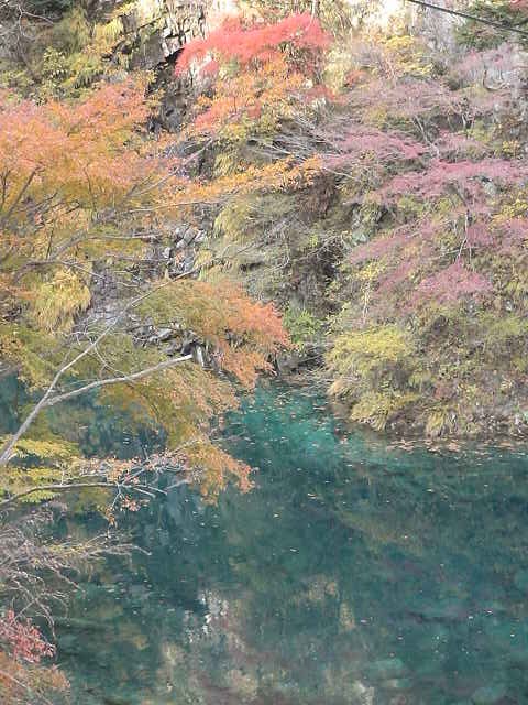 丹沢:ユーシン渓谷