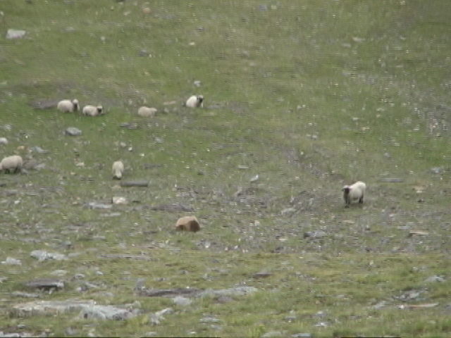 �����A�ċx�݁A�Ƒ����s�A�X�C�X�A�p���A�X�g���X�u�[���A�R���}�[���A�A���U�X�A�c�F���}�b�g�A�A���v�X�A�n�C�L���O�A�����^�J�[�A���[���b�p"�A�S���i�[�O���[�g�A�X�l�K�A�N���C���E�}�b�^�[�z�����A�}�b�^�[�z����