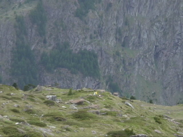 �A�ċx�݁A�Ƒ����s�A�X�C�X�A�p���A�X�g���X�u�[���A�R���}�[���A�A���U�X�A�c�F���}�b�g�A�A���v�X�A�n�C�L���O�A�����^�J�[�A���[���b�p"�A�S���i�[�O���[�g�A�X�l�K�A�N���C���E�}�b�^�[�z�����A�}�b�^�[�z����