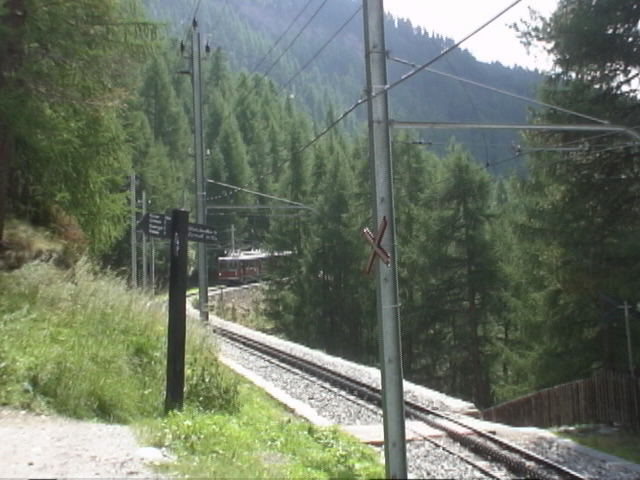 �S���A�ċx�݁A�Ƒ����s�A�X�C�X�A�p���A�X�g���X�u�[���A�R���}�[���A�A���U�X�A�c�F���}�b�g�A�A���v�X�A�n�C�L���O�A�����^�J�[�A���[���b�p"�A�S���i�[�O���[�g�A�X�l�K�A�N���C���E�}�b�^�[�z�����A�}�b�^�[�z����