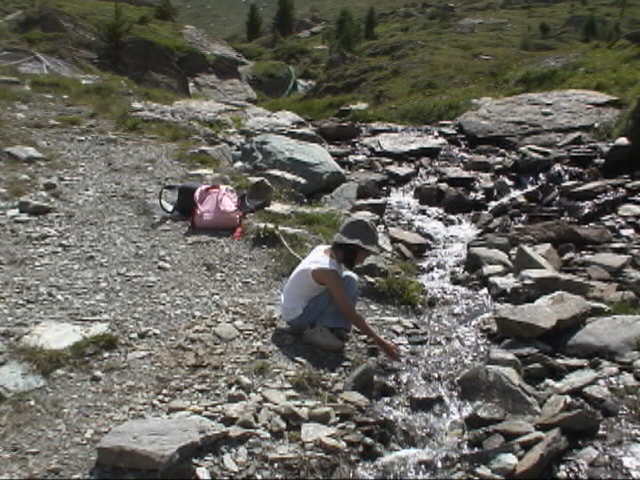 �A�ċx�݁A�Ƒ����s�A�X�C�X�A�p���A�X�g���X�u�[���A�R���}�[���A�A���U�X�A�c�F���}�b�g�A�A���v�X�A�n�C�L���O�A�����^�J�[�A���[���b�p"�A�S���i�[�O���[�g�A�X�l�K�A�N���C���E�}�b�^�[�z�����A�}�b�^�[�z����