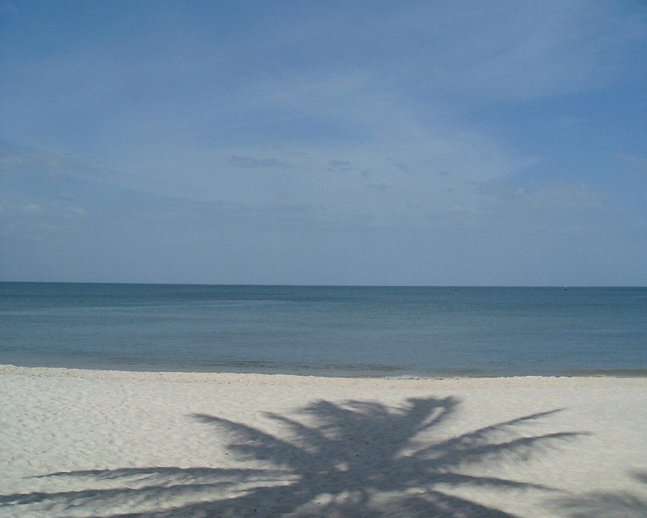 �z�A�q���@�Ƒ����s